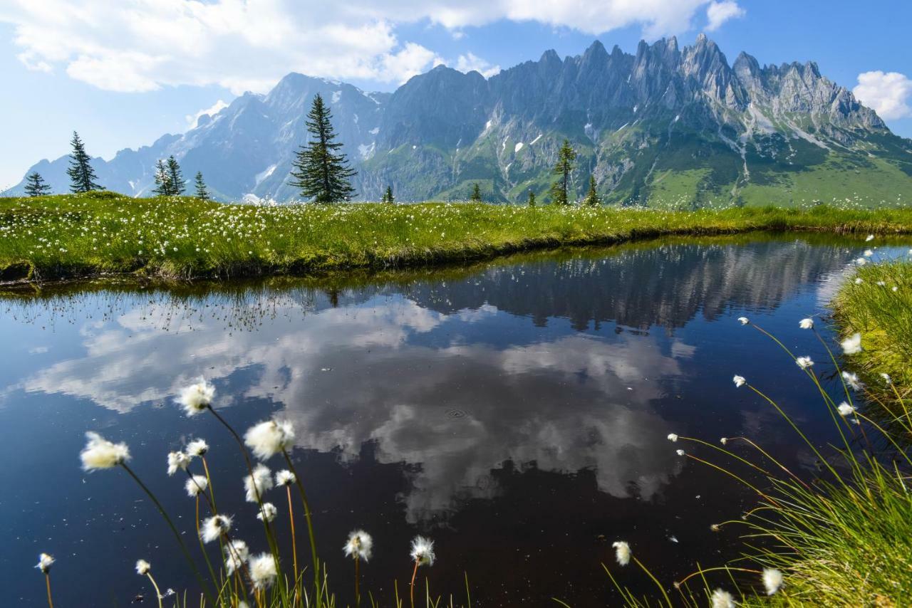 Alpenhof Schwaiger - Hotel Garni Mühlbach am Hochkönig Kültér fotó